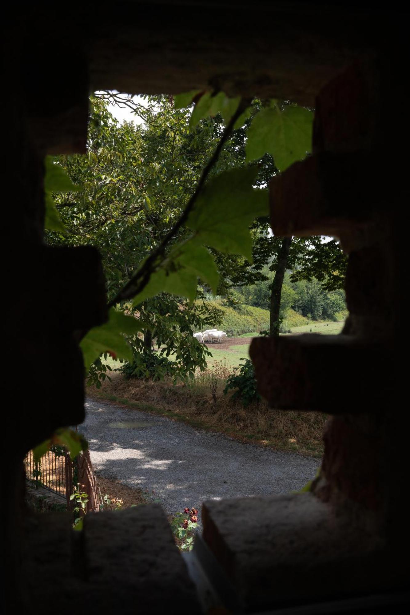 Antica Corte Pallavicina Relais Country house *